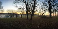 MorningFogWeb
