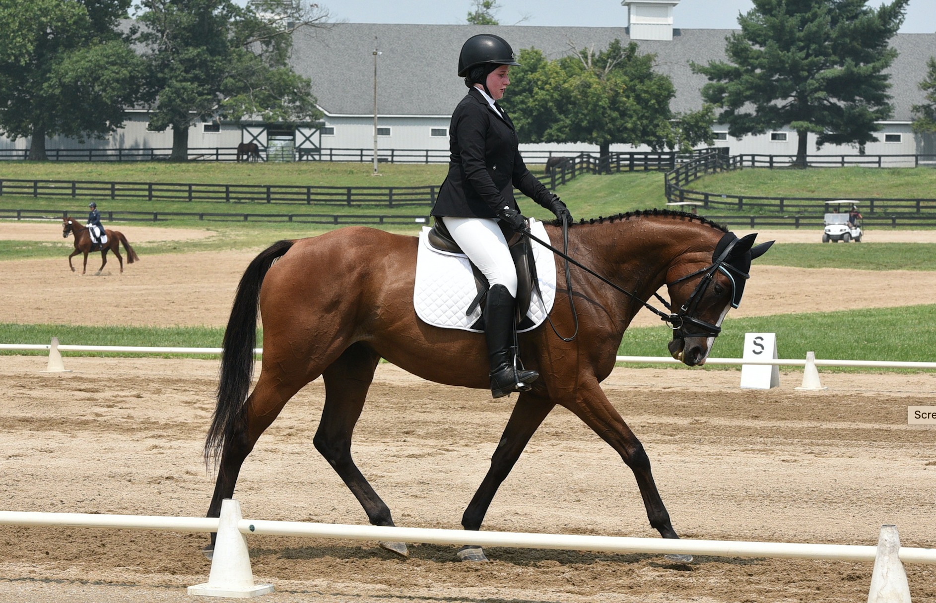 Fine Idea Farm, Horse Boarding, Training, Lessons